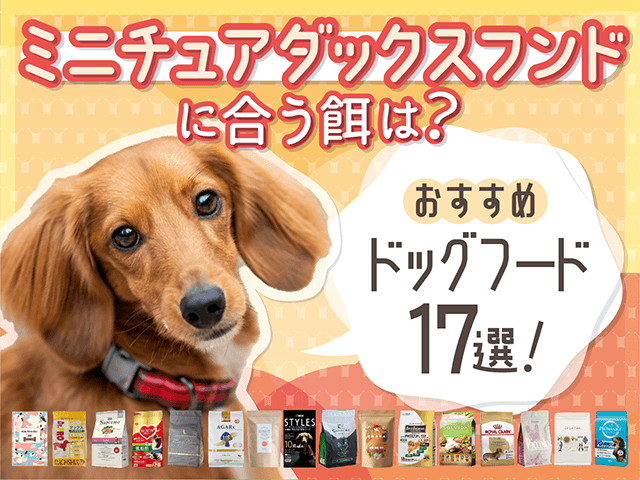 ミニチュアダックスフンドに合うおすすめドッグフードのサムネイル