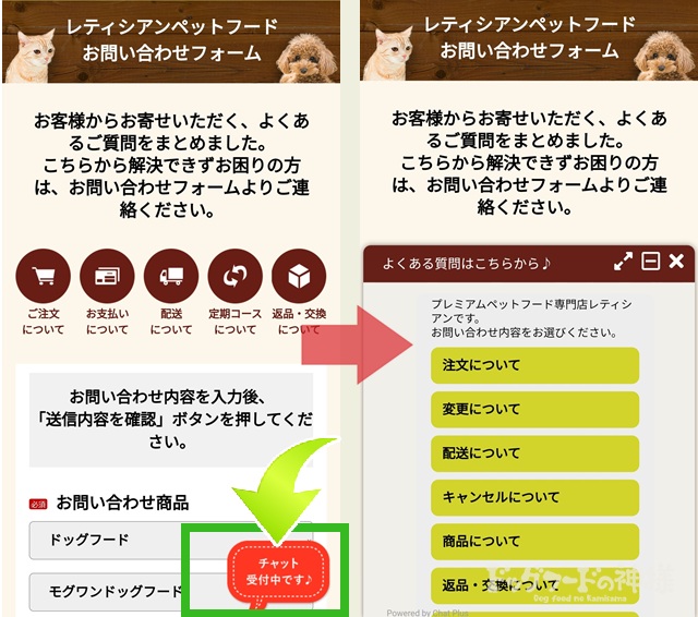 チャット_21