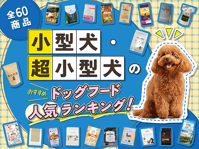 小型犬・超小型犬におすすめのドッグフードのサムネイル