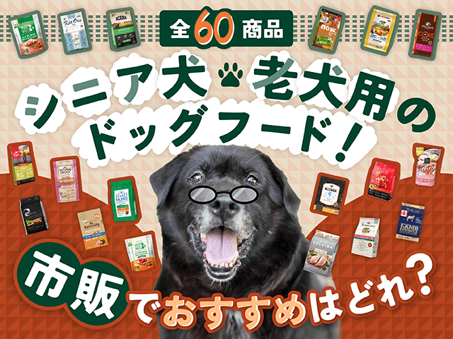 シニア犬・老犬におすすめ市販のドッグフードのサムネイル