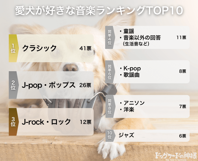 愛犬が好きな音楽ランキングTOP10の画像