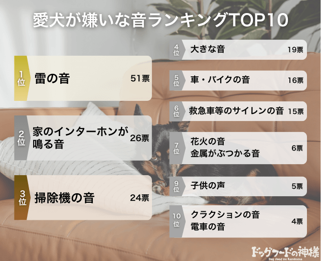 愛犬が嫌いな音ランキングTOP10の画像