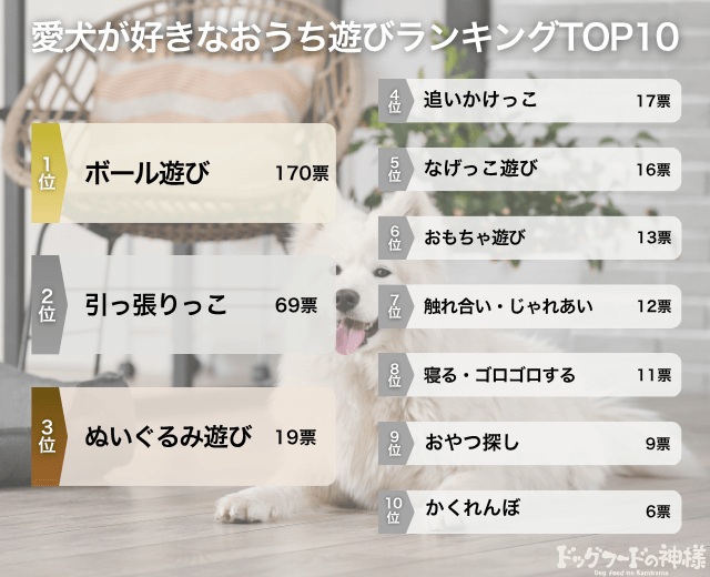 愛犬が好きなおうち遊びランキングTOP10の画像