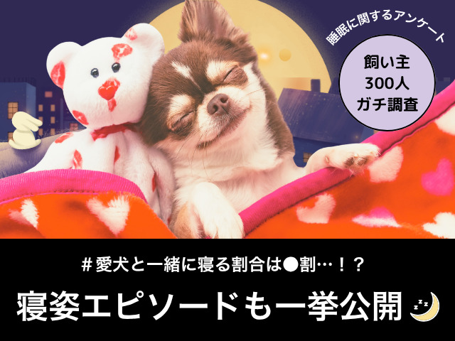 睡眠に関するアンケートのサムネイル