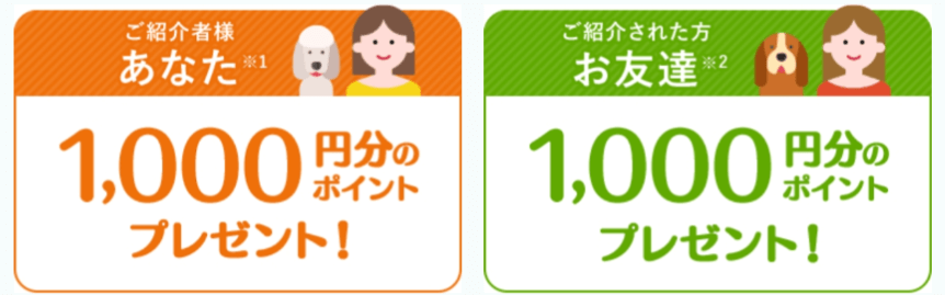 dogfoodkoubou₋HP2