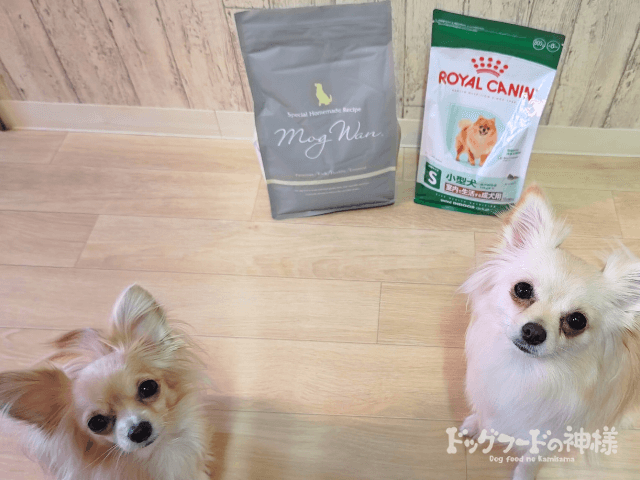 royalcanin-hikaku_14