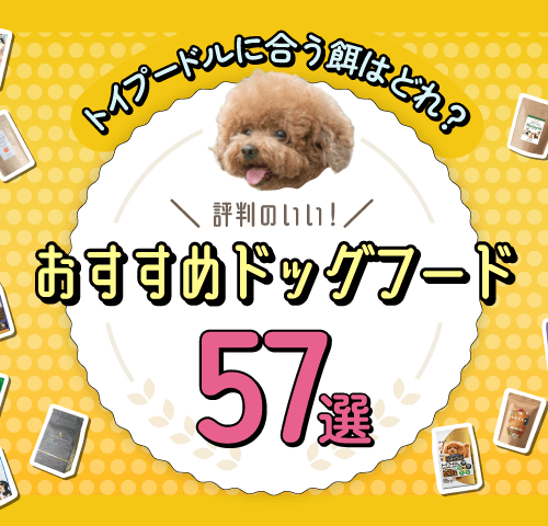 トイプードルにおすすめのドッグフード